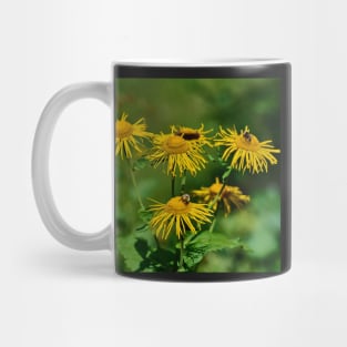 Alpine flowers Mug